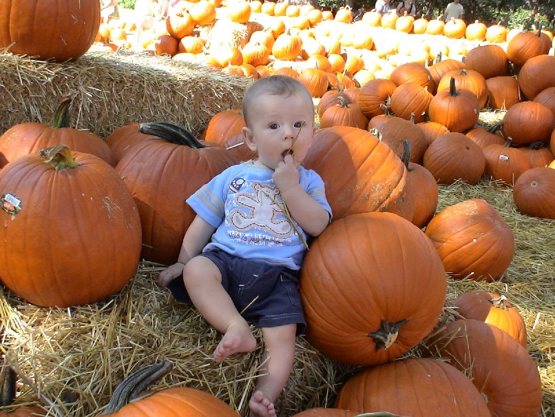 kick'in back in the pumpkins